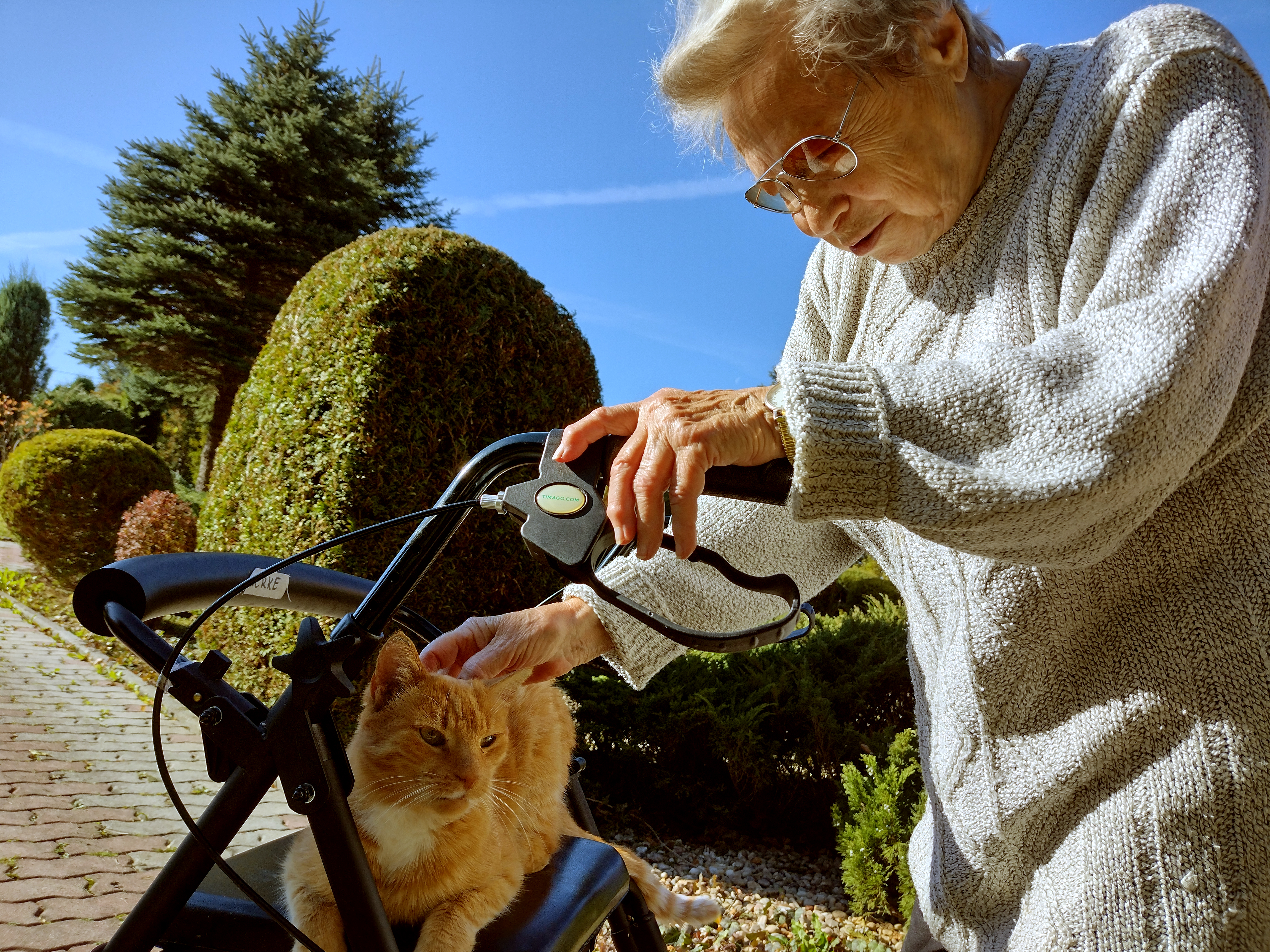 Pani głaskająca rudego kota