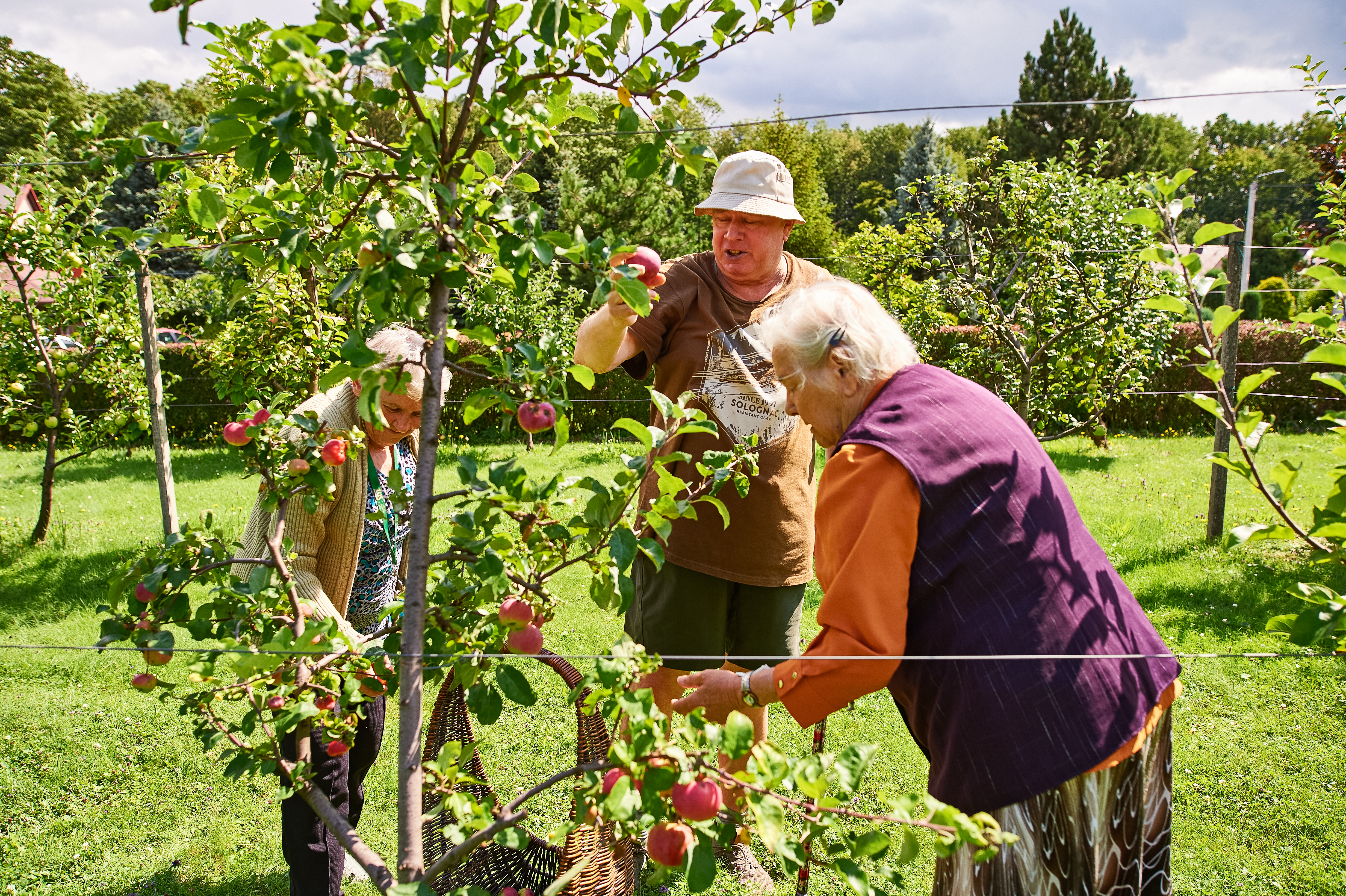 Nasi domownicy pracujący w sadzie