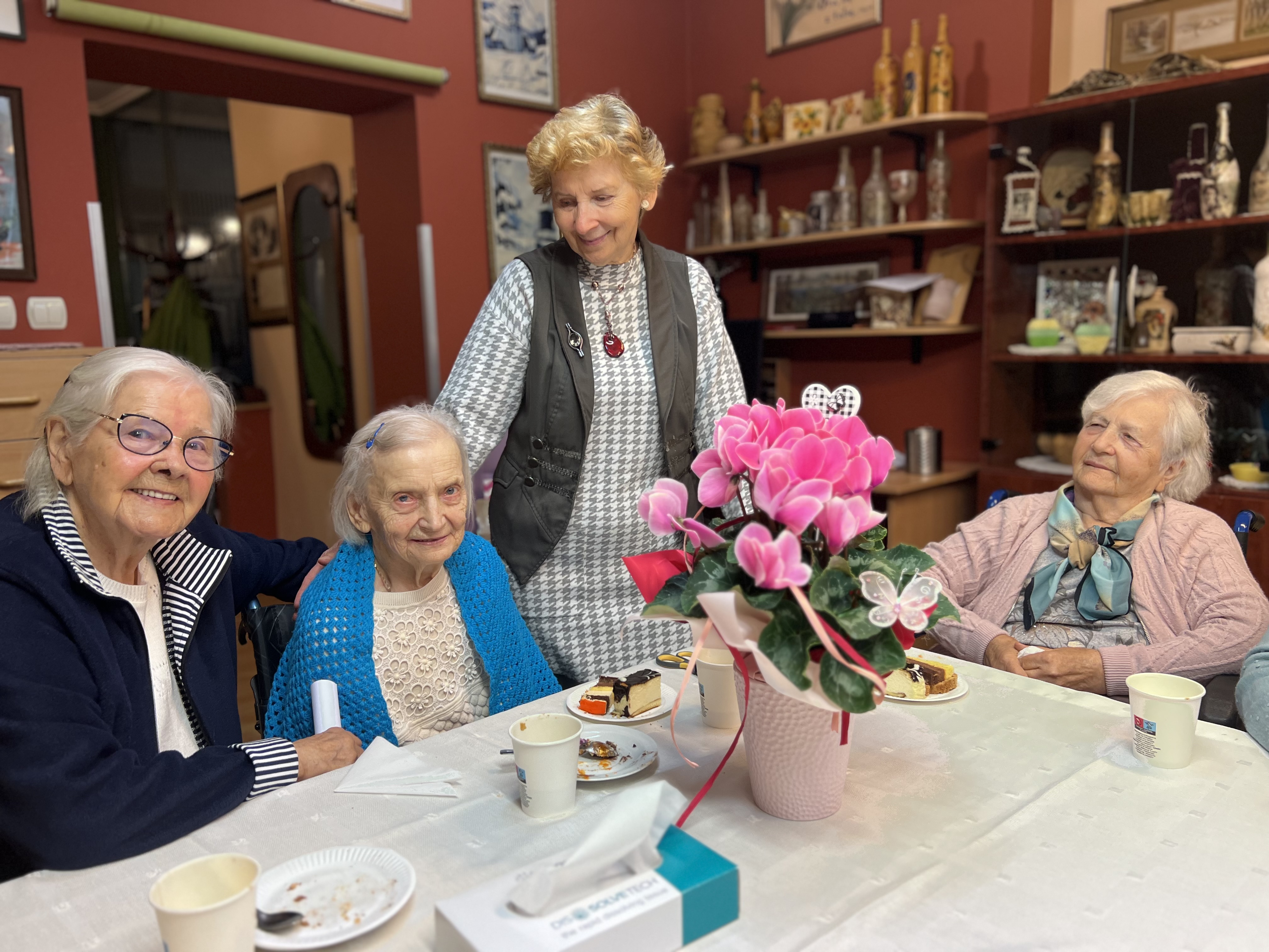 Seniorki przy stole, na którym stoi piękny, na różowo kwitnący kwiat doniczkowy