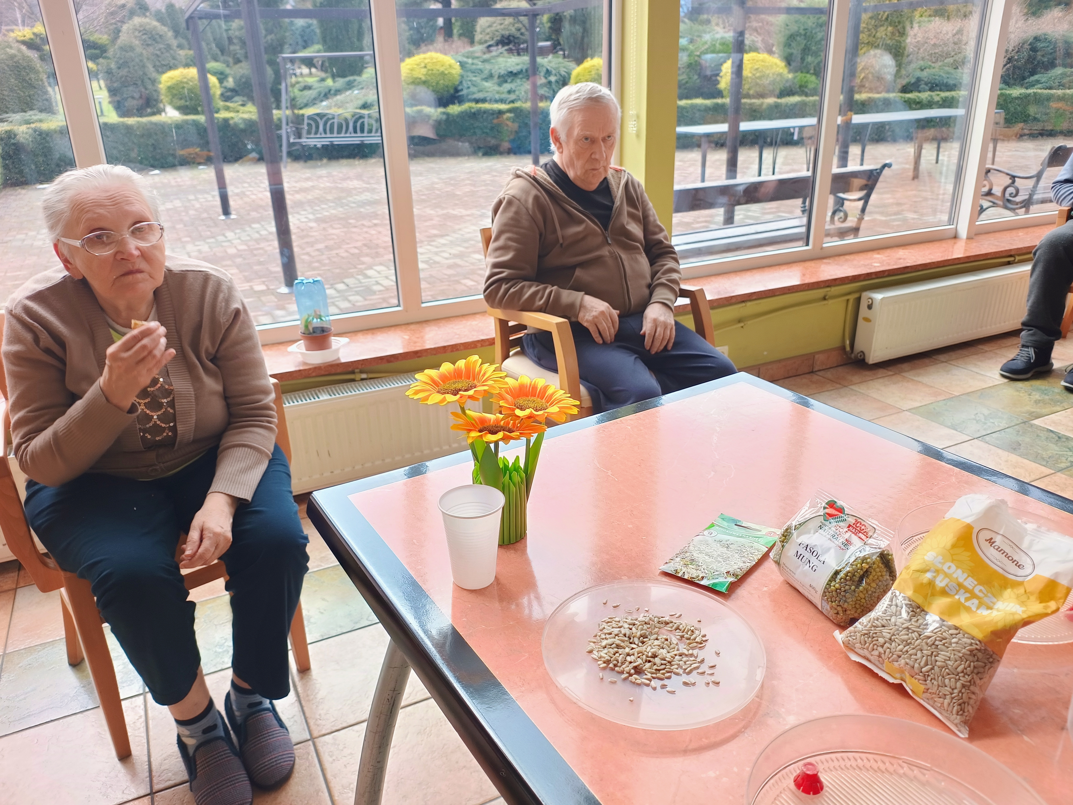 Seniorzy degustują słonecznik